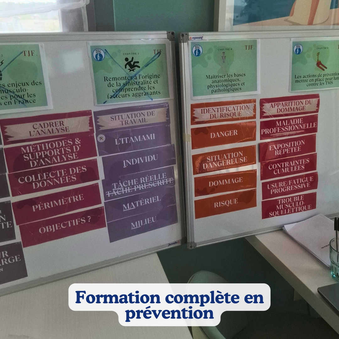 TMS GP Troubles Musculo Squelettiques Gestes et postures  – Industrie, BTP et Commerce (IBC) — ½ journée