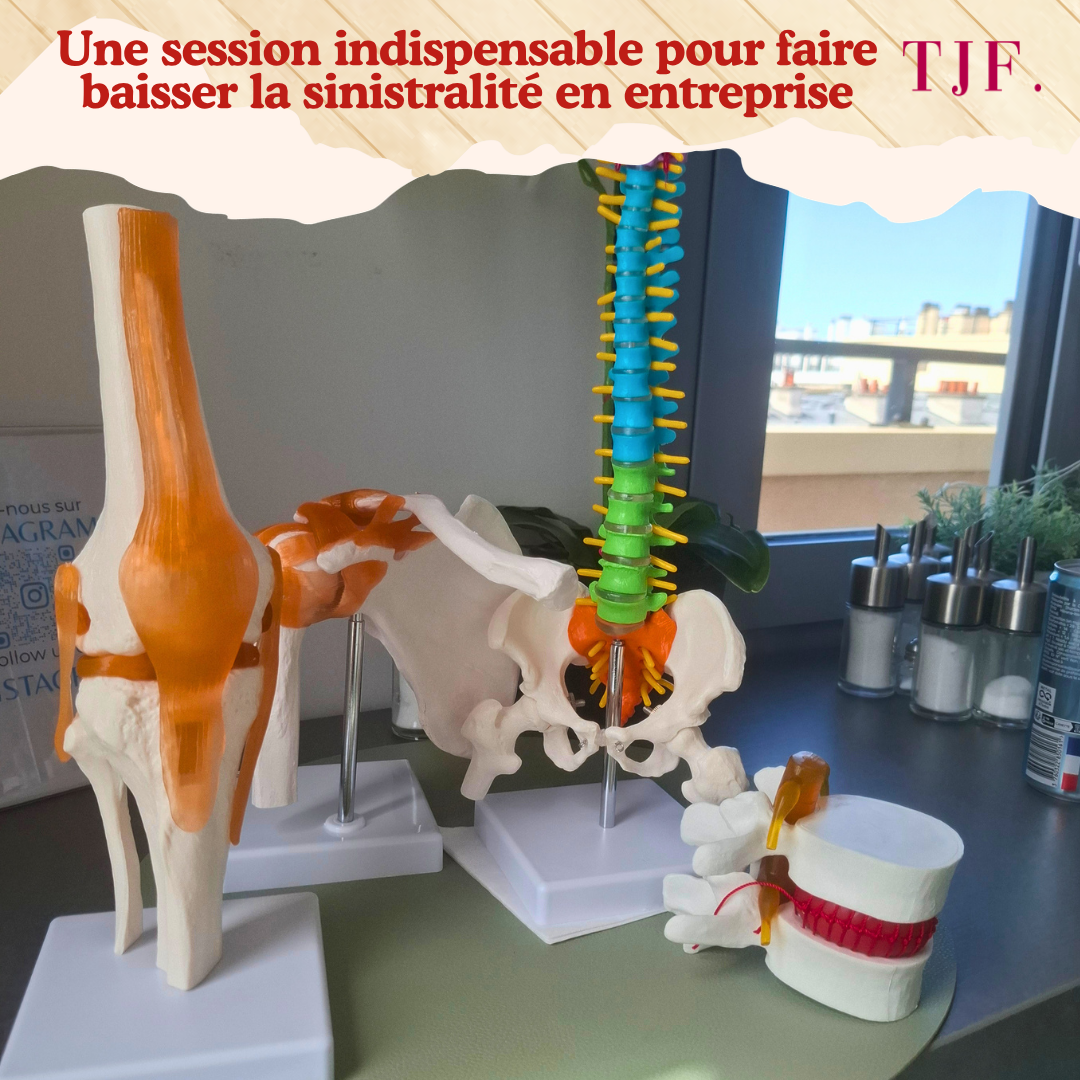 TMS GP Troubles Musculo Squelettiques Gestes et postures  – Industrie, BTP et Commerce (IBC) — ½ journée
