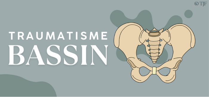 Aimant pédagogique