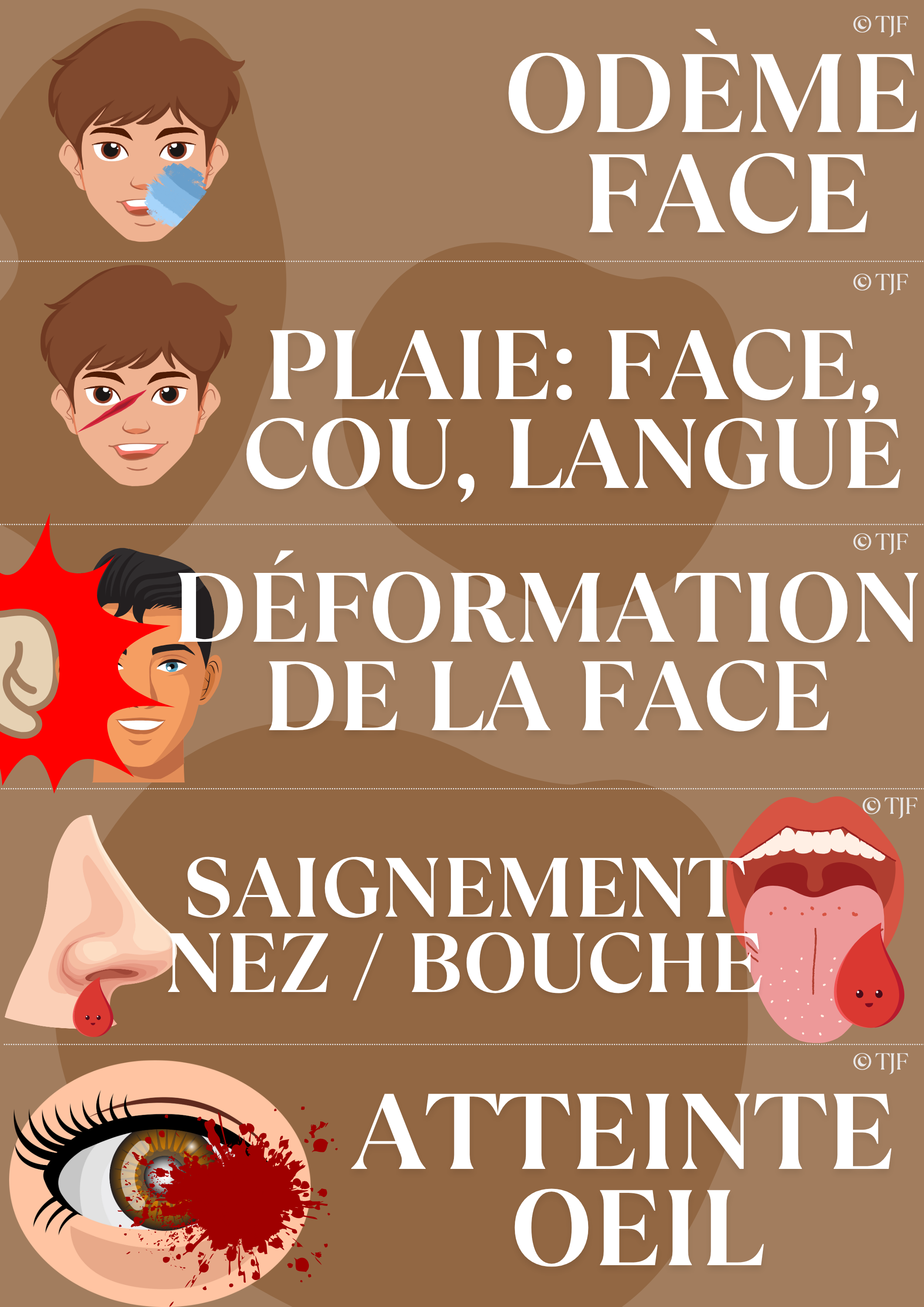 Bilans Traumas & brûlures  : 90 Aimants ludopédagogiques - Pack 8-en-1