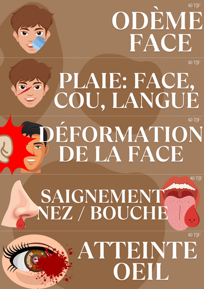 Bilans Traumas & brûlures  : 90 Aimants ludopédagogiques - Pack 8-en-1