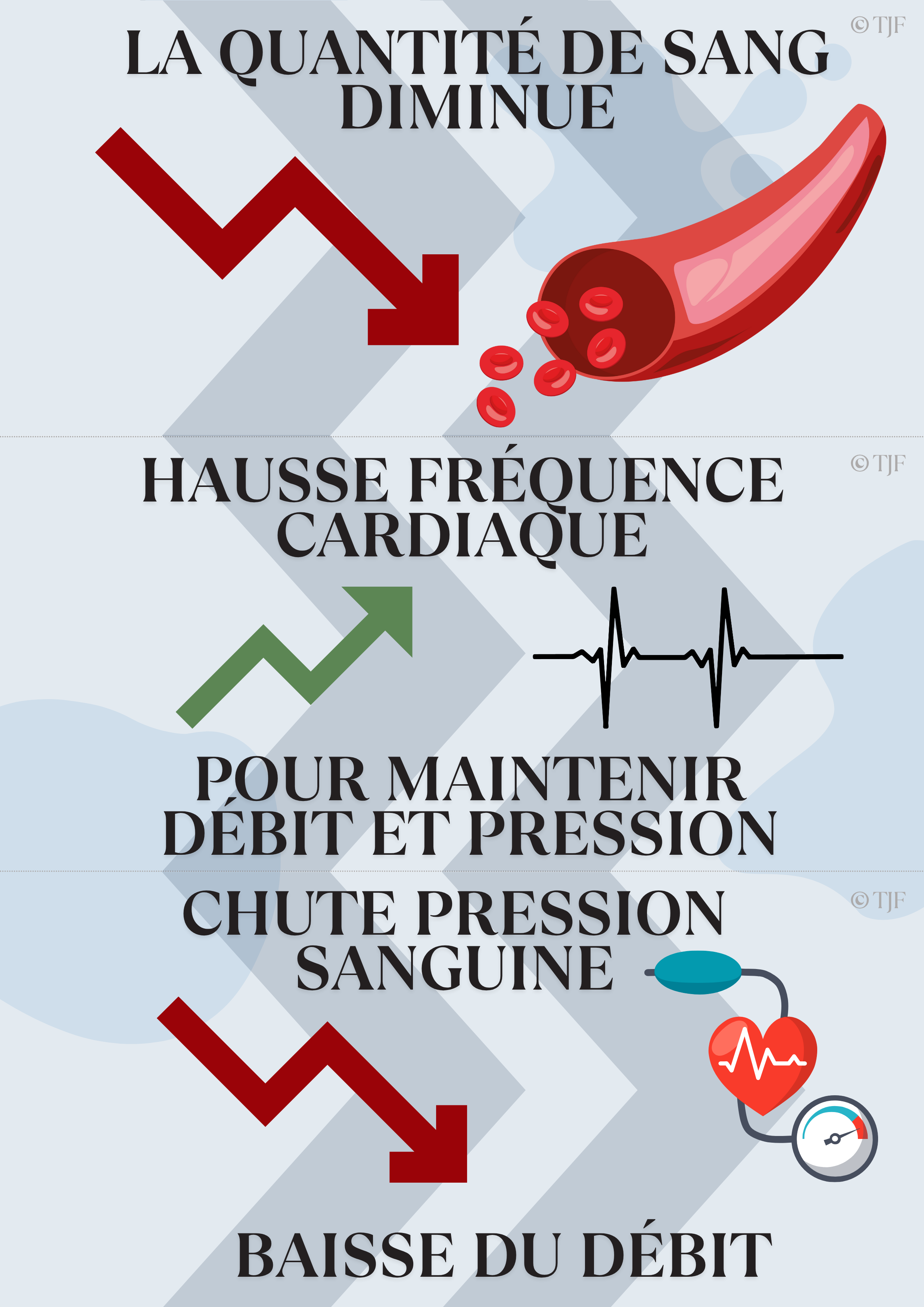 Saignement abondant : Lot 30 Aimants ludopédagogiques PSE1 - Détresse circulatoire, hémorragie