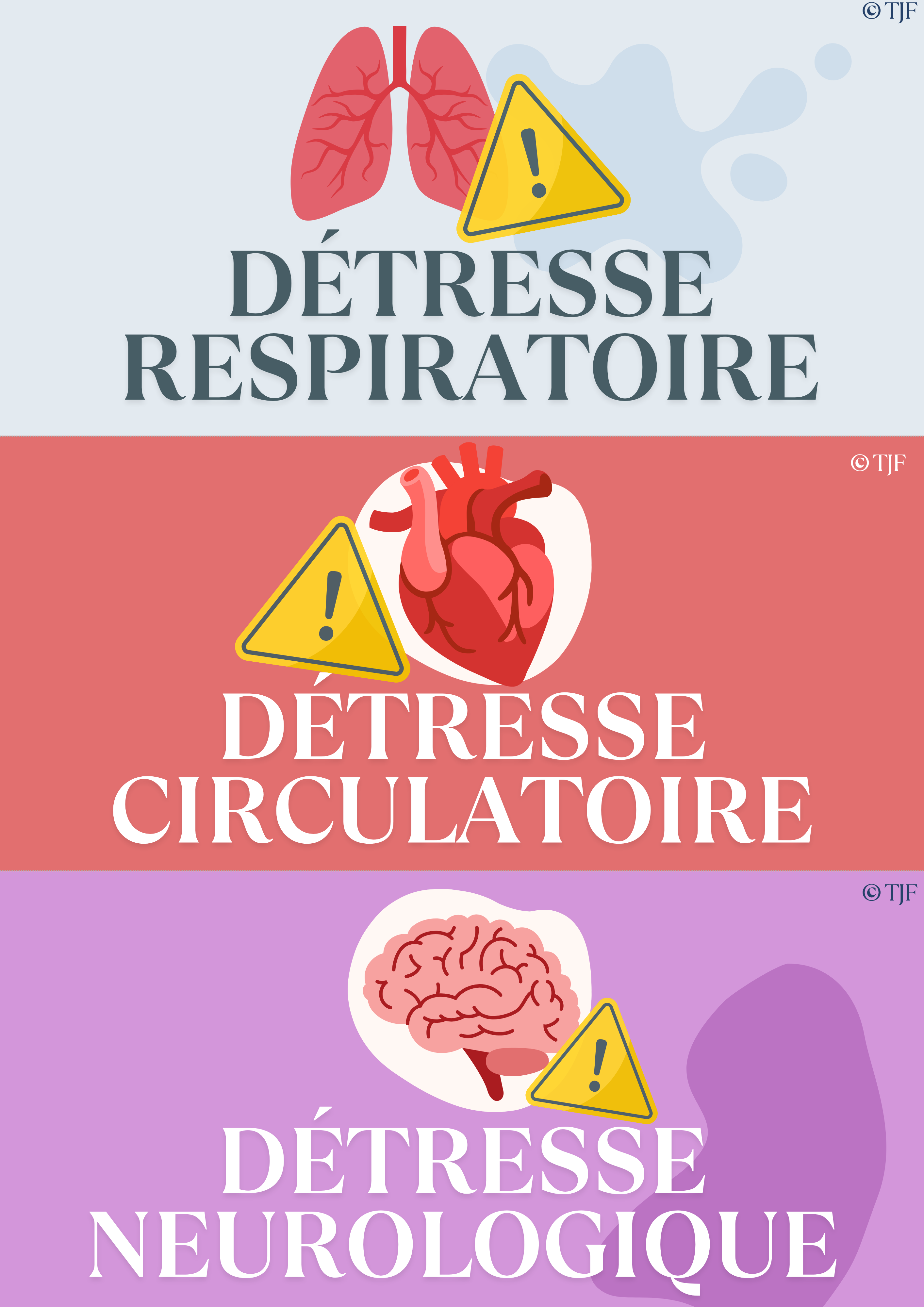 Bilans Secouristes : 171 Aimants ludopédagogiques - Pack 5-en-1 - 4 regards & 4 menaces vitales