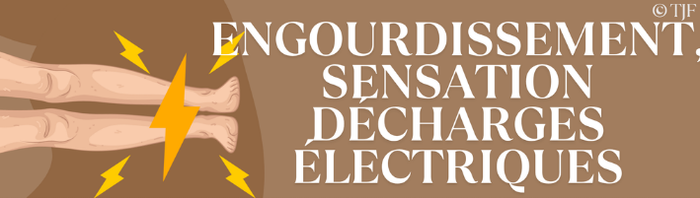 Aimant pédagogique