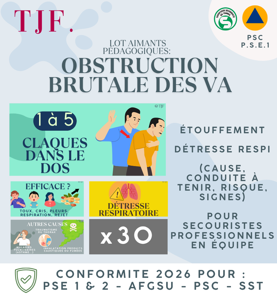 Obstruction des VA: Lot 30 Aimants ludopédagogiques PSE1 - Détresse respiratoire, étouffement