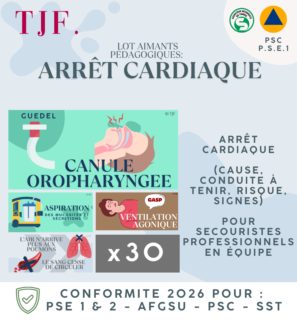 Arrêt cardiaque: Lot 30 Aimants ludopédagogiques PSE1 - secourisme en équipe avec matériel