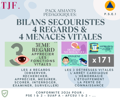 Bilans Secouristes 4 : 171 Aimants ludopédagogiques - Pack 5-en-1 4 regards & 4 menaces vitales