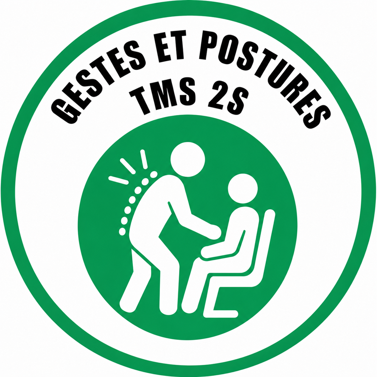 TMS GP Troubles Musculo Squelettiques Gestes et postures  – Sanitaire et social —Mobilisation de patients et Aide à la mobiltié