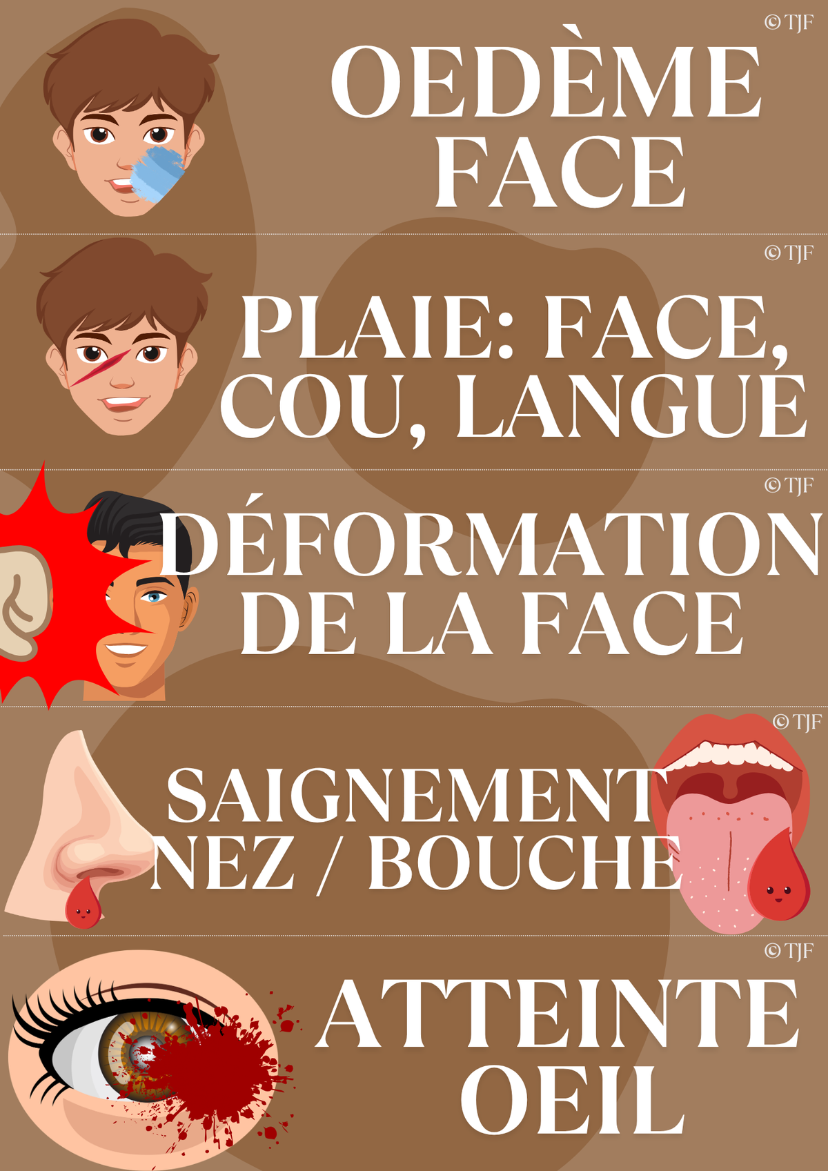 Bilans Traumas & brûlures  : 90 Aimants ludopédagogiques - Pack 8-en-1