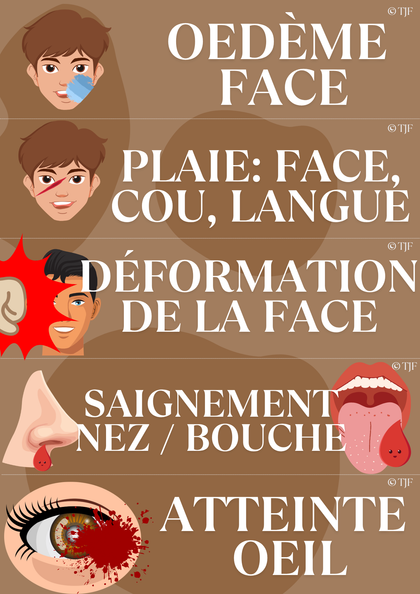 Bilans Traumas & brûlures  : 90 Aimants ludopédagogiques - Pack 8-en-1